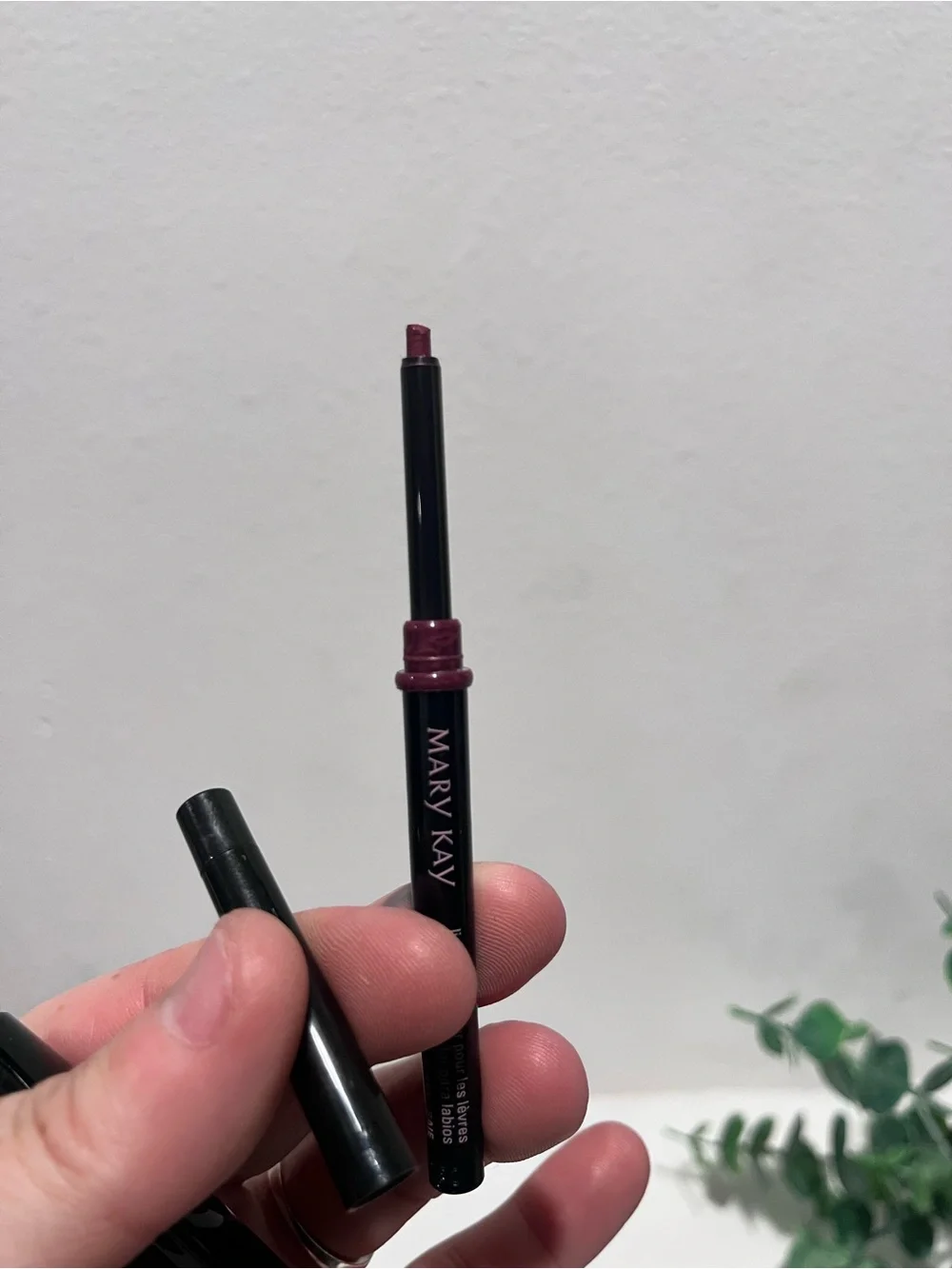 Mary Kay Lip Bundle